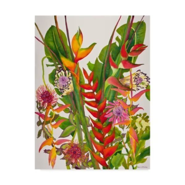 Carissa Luminess 'Radiant Supreme' Canvas Art, 24x32, Trademark Fine Art, Mfr#: ALI25779-C2432GG